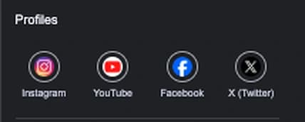 The profiles row of Ella Mai's Google knowledge panel, linking to her Instagram, YouTube, Facebook and X accounts.