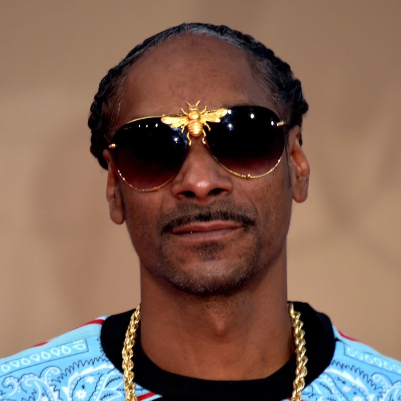 Snoop Dogg on the Litt client wall